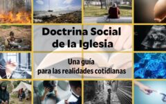 DSI (1)