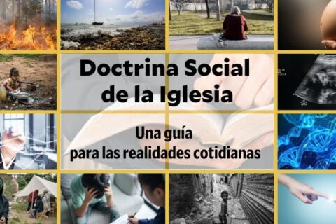 DSI (1)