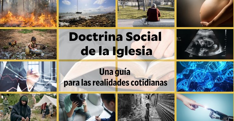 DSI (1)